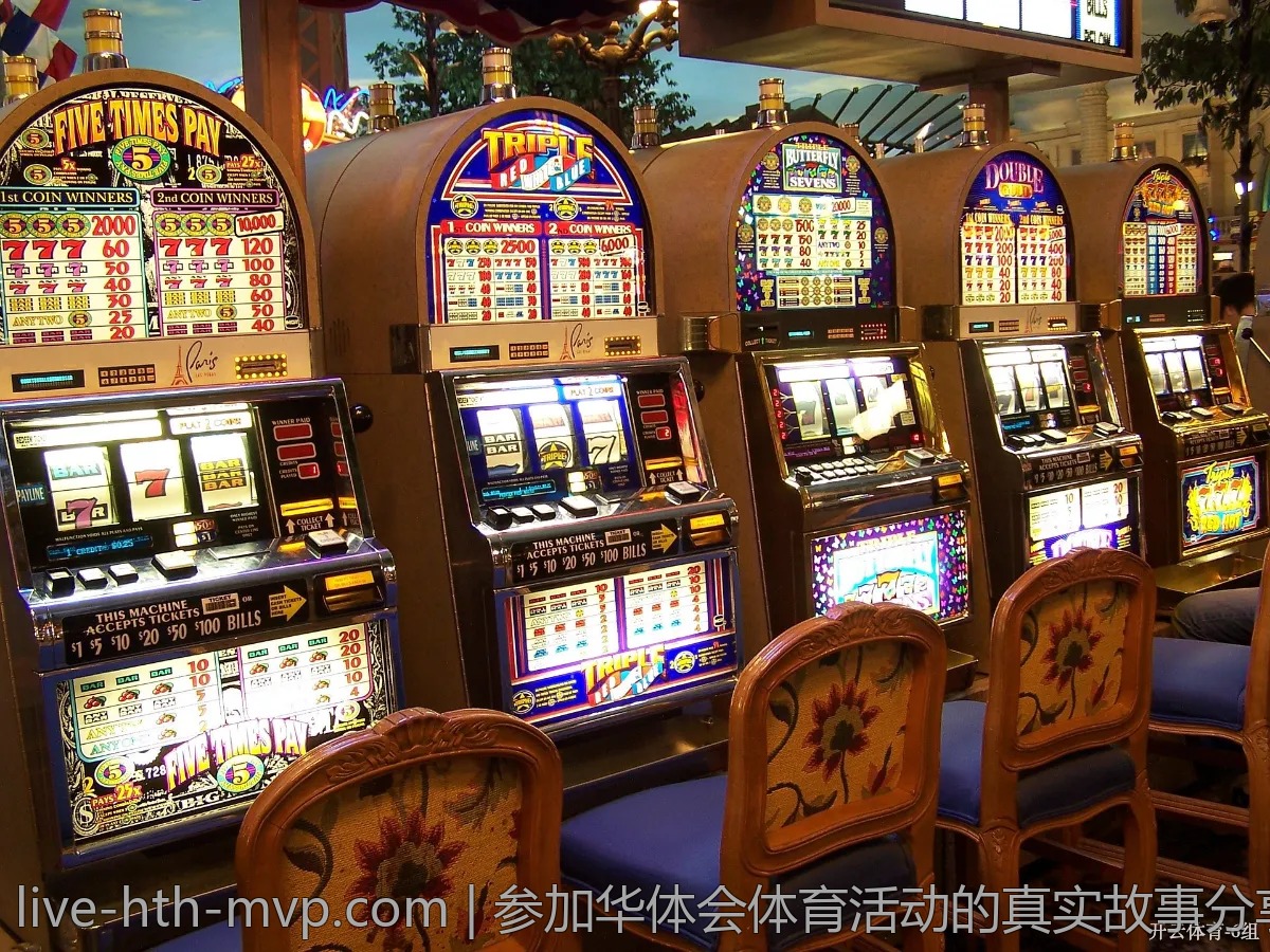 参加华体会体育活动的真实故事分享