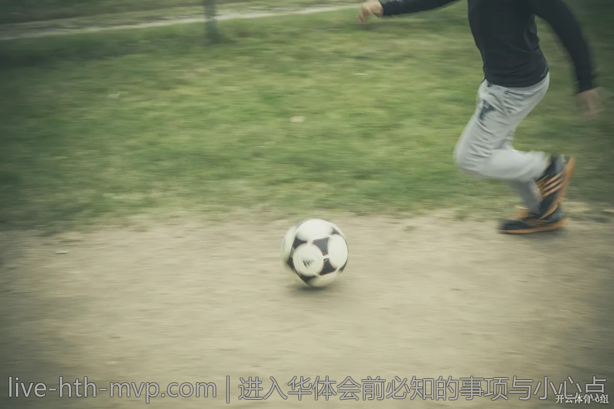 进入华体会前必知的事项与小心点