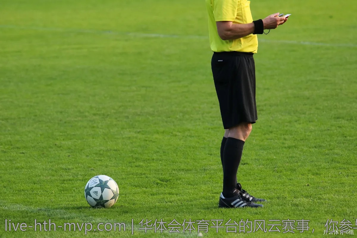 参加华体会体育活动的真实故事分享