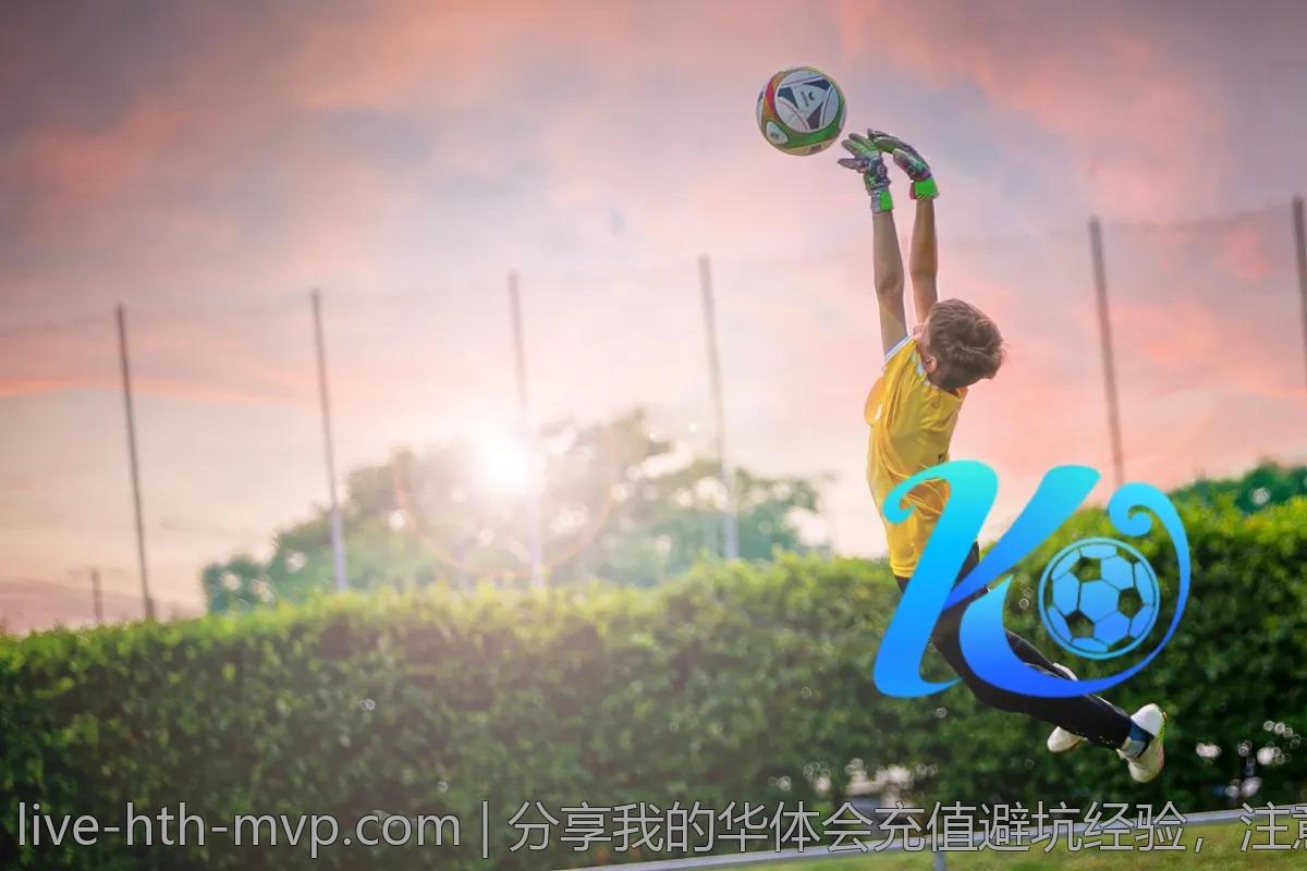 备受关注的华体会体育赛事评析